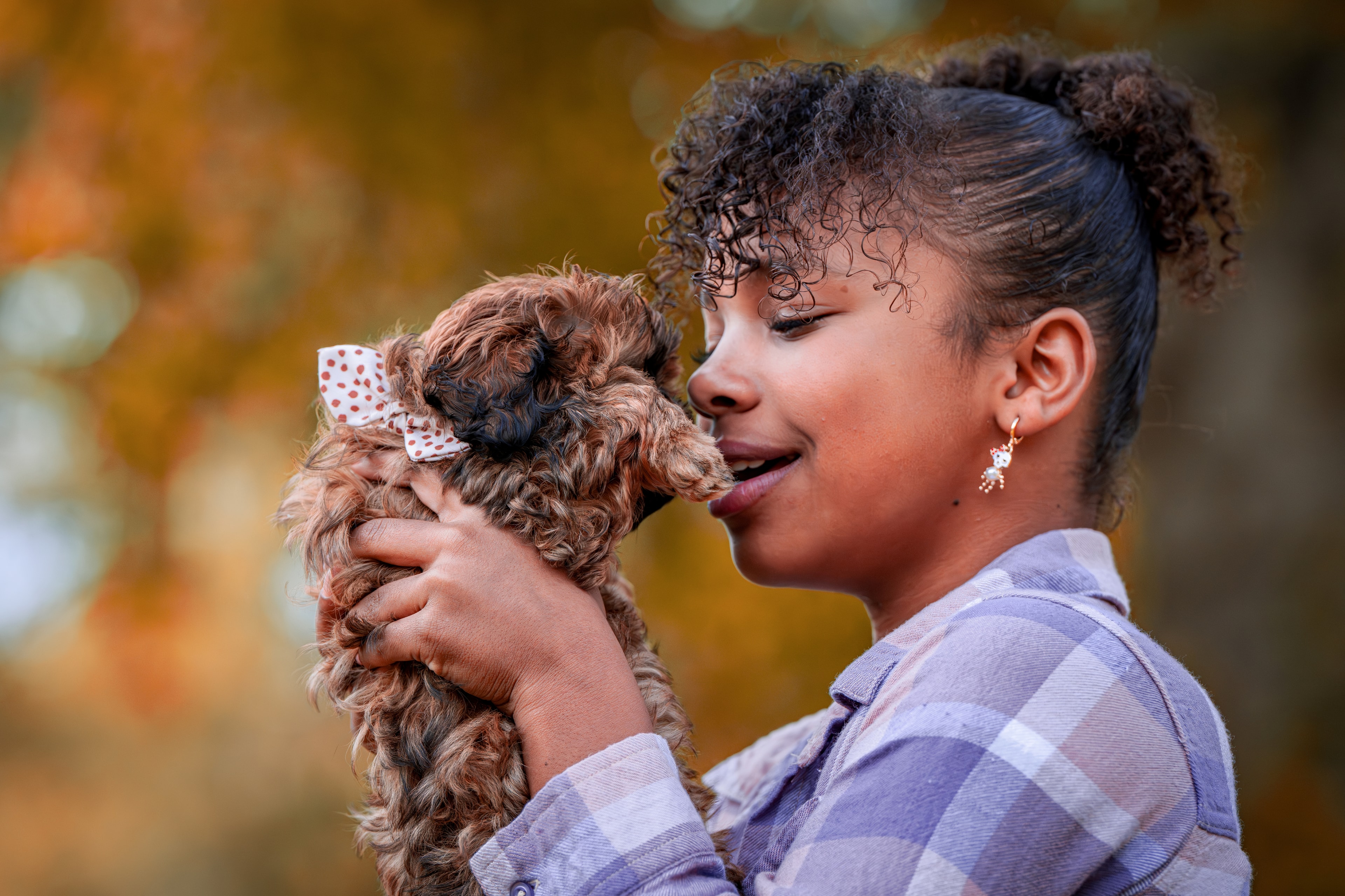 Dogs in Michigan outdoors